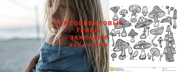 мяу мяу мука Белоозёрский